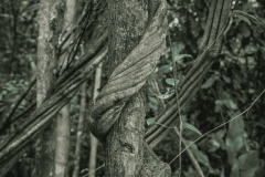 9915cb728ea72e94ac5c7878aa55bba92a35cccb-1