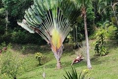 IMG20221222131453