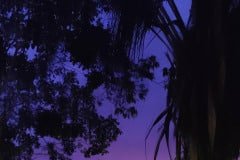 IMG_20220819_180322