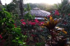 IMG_3183