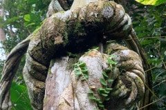 Imagem-do-WhatsApp-de-2022-08-22-as-08.54.26