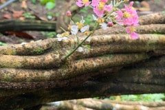 Imagem-do-WhatsApp-de-2022-08-22-as-08.54.28