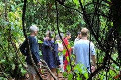 b1cf03ca-2f51-4fac-be0a-de81b162635f