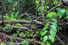 e80d2201-0260-479b-920d-affaeb21d8e2